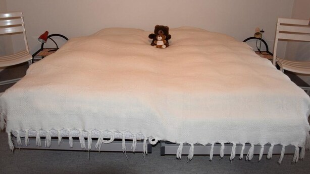A bed with a white blanket and a teddy bear in the center. - Favre OG Ost Appartement/Fewo, Dusche oder Bad, WC, 1 Schlafraum 2-Bett-Wohnung by Interhome (Matten  (St. Stephan))