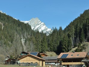 A mountain lodge with solar panels, surrounded by dense forest and a snow-capped peak.