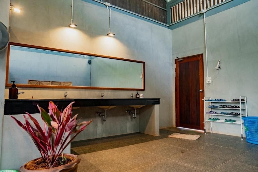 Un baño con un espejo grande, dos lavabos, una planta en maceta y un zapatero.