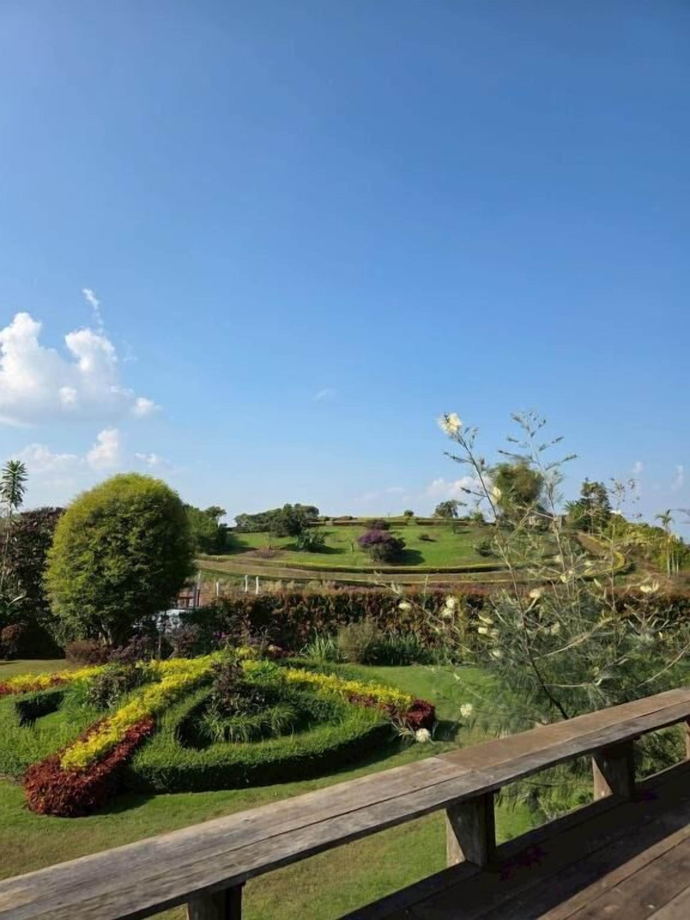 Un jardín ajardinado con una terraza de madera, diversas plantas y un cielo azul despejado.