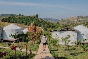 Un sendero conduce a una serie de edificios con forma de cúpula, rodeados de vegetación y colinas al fondo.