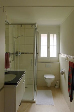 A bathroom with a shower, toilet, and sink. - Lucie 4-Zimmerwohnung by Interhome (Adelboden)