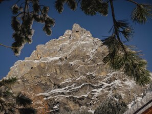 Una cima montuosa e impervia con chiazze di neve e rami di pino in primo piano.