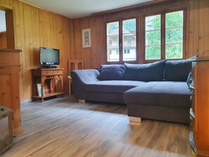 Ein Zimmer mit Holzwänden, einem grauen Sofa, einem Fernseher auf einem Holzständer und einem Fenster mit Blick auf Gebäude und Bäume.