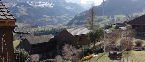 A rural house with a sloped roof, surrounded by a grassy yard and a paved path leading to the entrance.