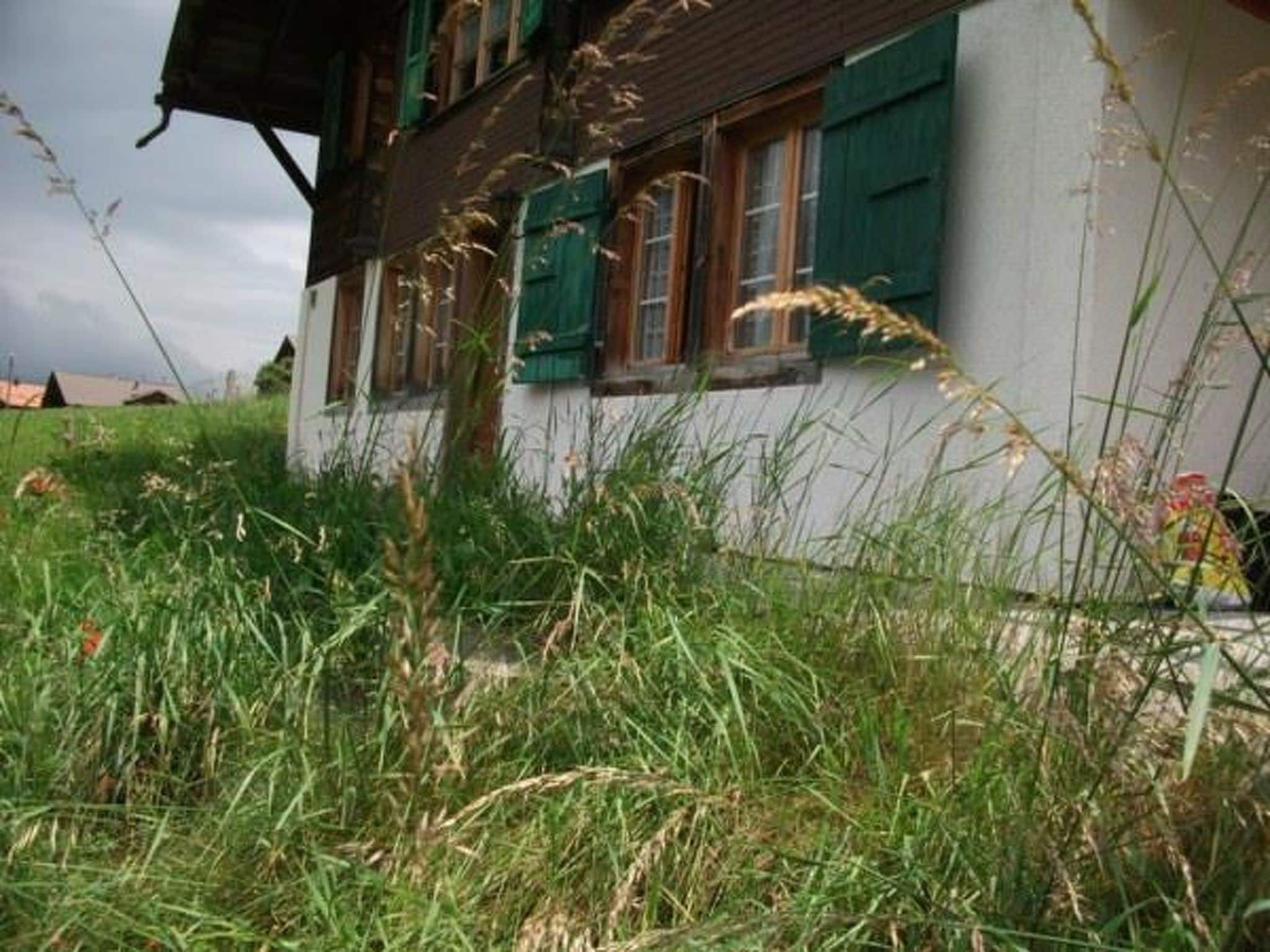 A house with a white exterior and green shutters, surrounded by tall grass.
