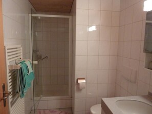 A bathroom with a glass-enclosed shower, a toilet, and a sink. - Abesunne Appartement/Fewo, Dusche, WC, 1 Schlafraum Sarbach - Erdgeschoss by Interhome (Frutigen)