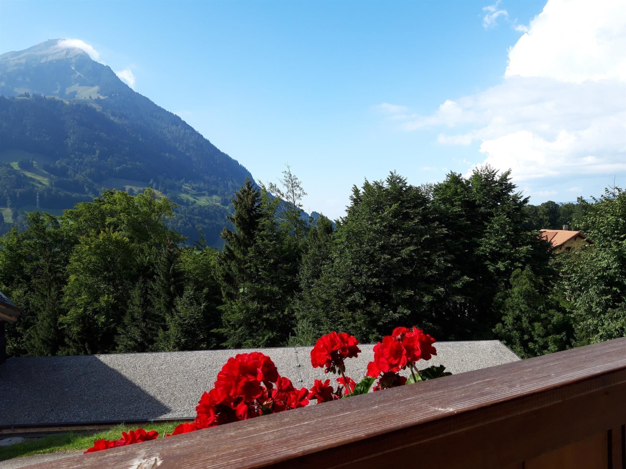 Blick auf Berge, im Vordergrund ein Haus.
