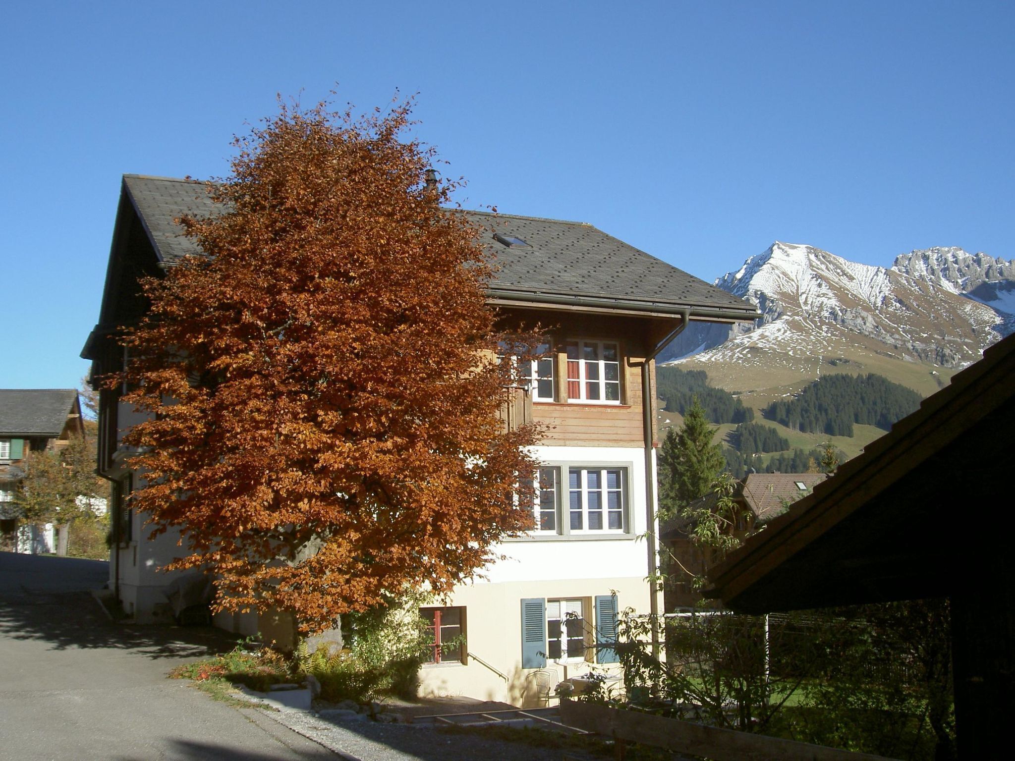 A two-story building with a mountain backdrop, a large tree in front, and a clear sky.