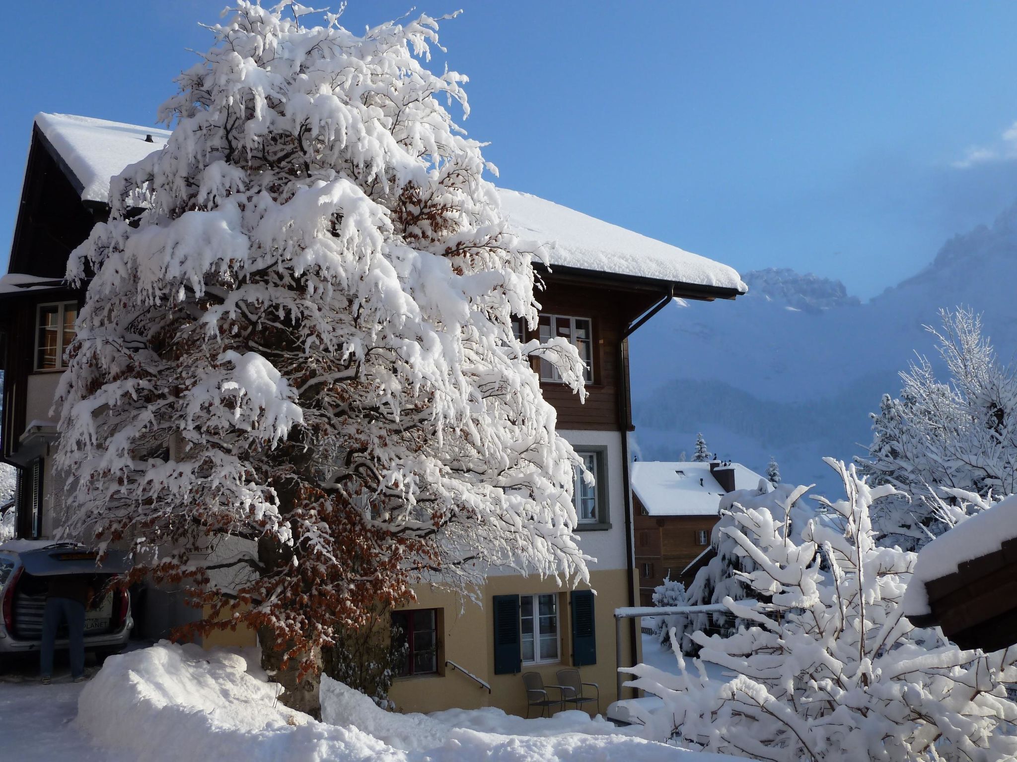 A snow-covered building with a large tree in front, surrounded by snow.