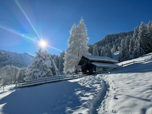 Schneebedeckte Landschaft mit einer Hütte und einer großen Nadelbaum.