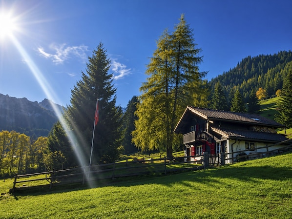 Ein traditionelles Chalet mit geneigtem Dach, eingebettet in einen grasbewachsenen Hang mit Blick auf Berge und Bäume.
