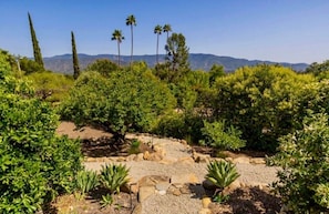 Property grounds - Ojai Oasis Mountain Estate - Pool & Spa (Ojai)