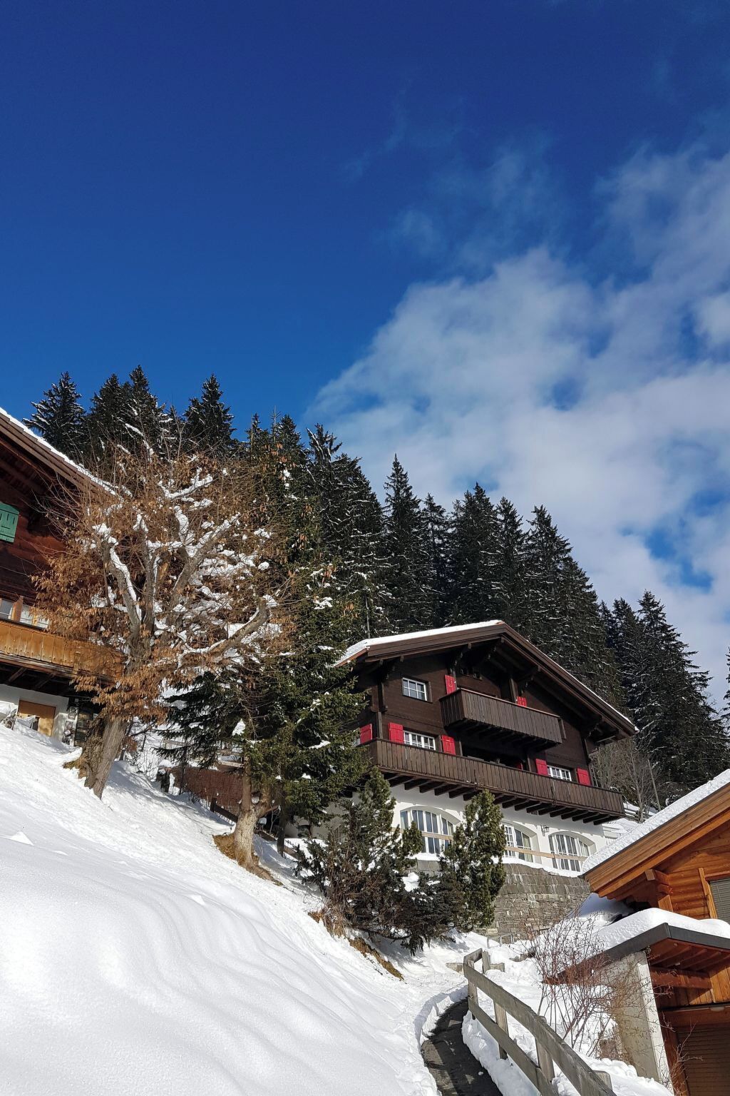 A wooden chalet with a balcony, surrounded by snow-covered trees and a clear sky.