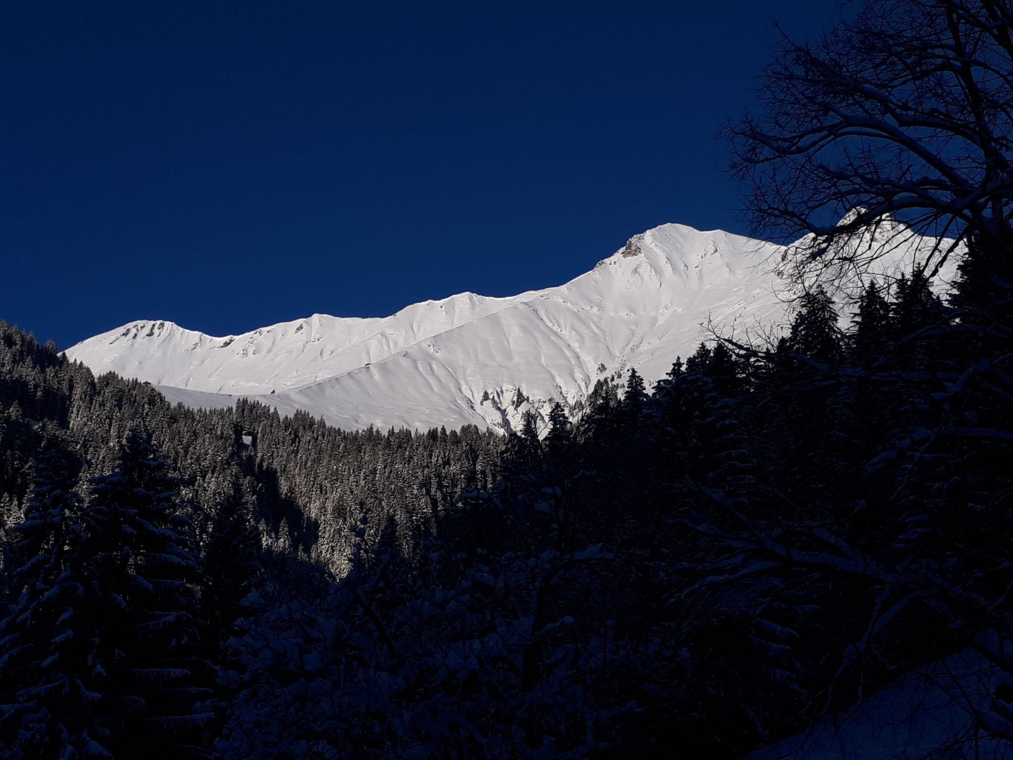 A snow-covered mountain range with dense forests at the base.