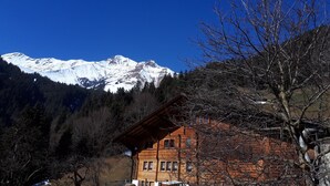 Ein Berg mit schneebedeckten Gipfeln, ein Gebäude mit rotem Dach und ein kahlstehender Baum im Vordergrund.
