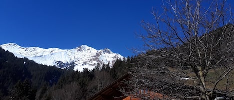 A mountain with snow-capped peaks, a red-roofed building, and a leafless tree in the foreground.
