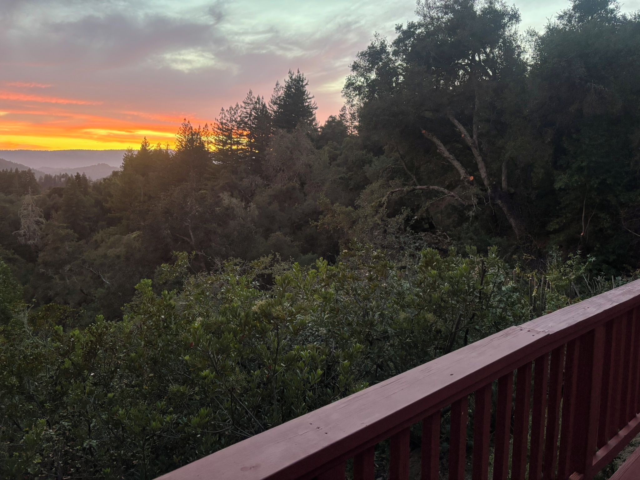 Un paysage boisé avec une rambarde en bois au premier plan.