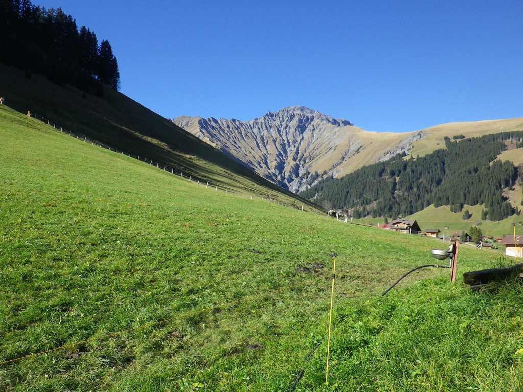 A grassy field with a mountain in the background and a few buildings.
