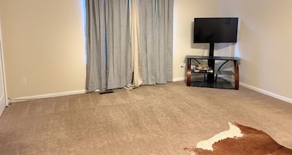 Perfect 5-bedroom house with AC in peaceful Ann Arbor/ Ravine LOT