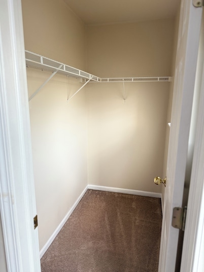 Perfect 5-bedroom house with AC in peaceful Ann Arbor/ Ravine LOT
