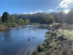 A river with a grassy bank and trees in the background.