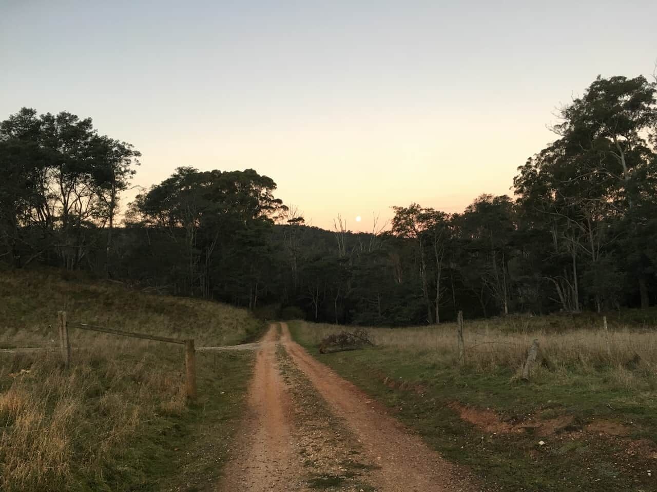 A dirt path leading through a wooded area with trees on either side.