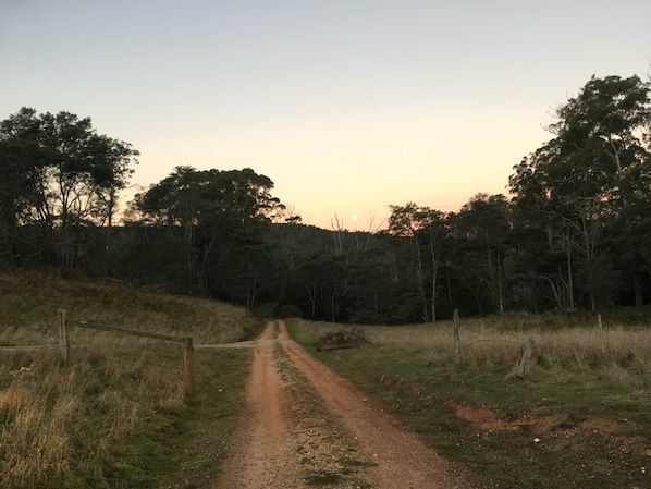 A dirt path leading through a wooded area with trees on either side.