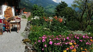 A rustic building with a wooden table and chairs outside, surrounded by colorful flowers and a view of mountains. - Auf der Mauer Appartement/Fewo, Dusche oder Bad, WC, 2 Schlafräume by Interhome (Oberwil)