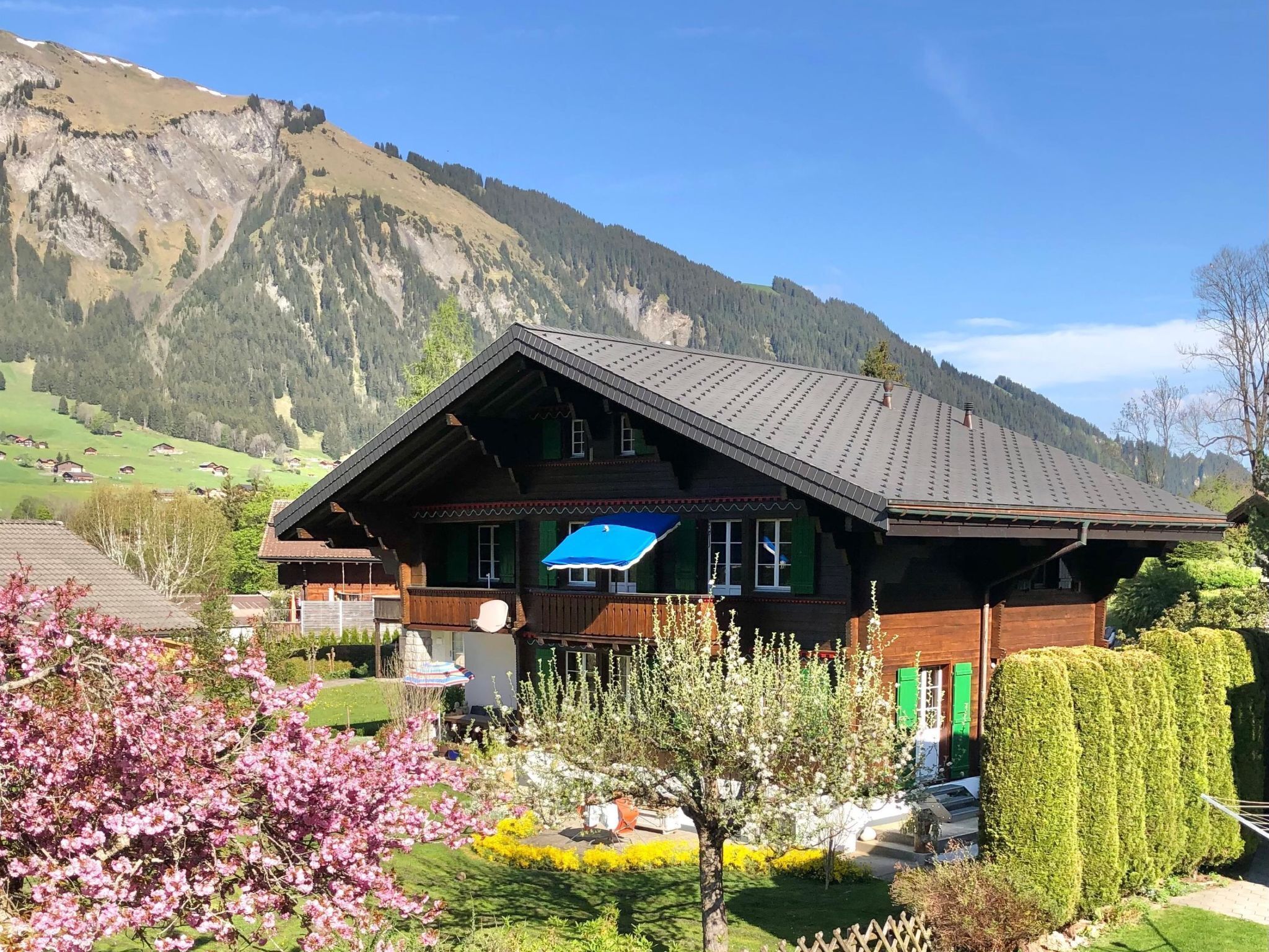 A traditional wooden chalet with a sloped roof, surrounded by a well-maintained garden with flowering plants and a view of a mountainous landscape.