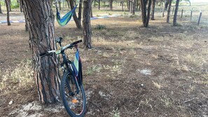 A bicycle leaning against a tree in a natural setting with a hammock and a blue mat nearby. - SIM NOR Vacation Home… RELAX Three-Room Apartment (Budoni)