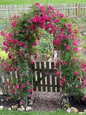 A garden with a wooden fence and pink flowering plants. - Chalet Bijou+ 1 OG Appartement/Fewo, Dusche, WC, 2 Schlafräume by Interhome (Lenk)