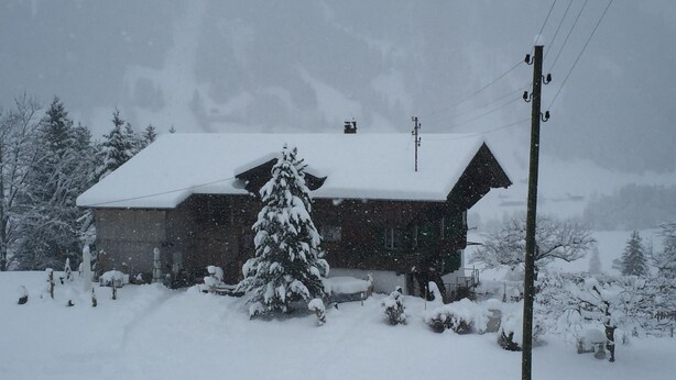 A snow-covered house with a sloped roof, surrounded by snow-laden trees and a clear sky. - Chalet Bijou+ 1 OG Appartement/Fewo, Dusche, WC, 2 Schlafräume by Interhome (Lenk)