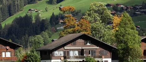 Een chalet met twee verdiepingen en een balkon, omringd door een omheind erf en uitzicht op een groene vallei met huizen.