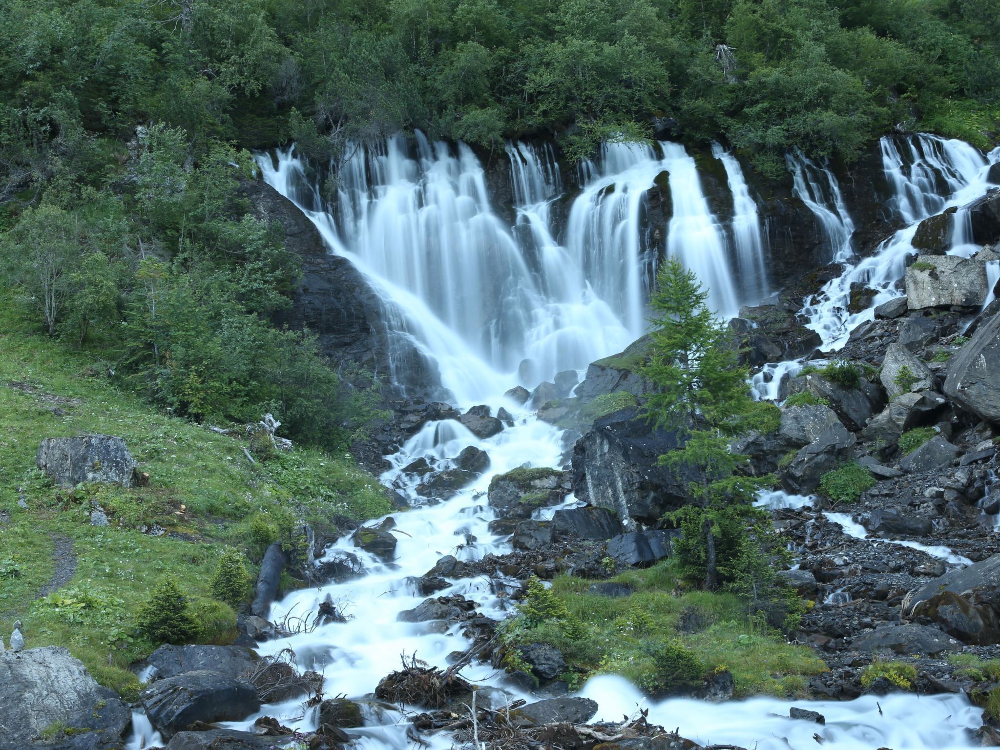 Ein Wasserfall stürzt über Felsen, umgeben von dichtem Wald.