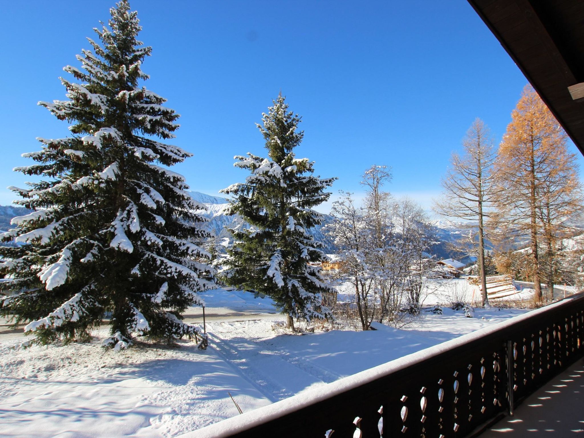 Paesaggio innevato con alberi e montagne sullo sfondo.