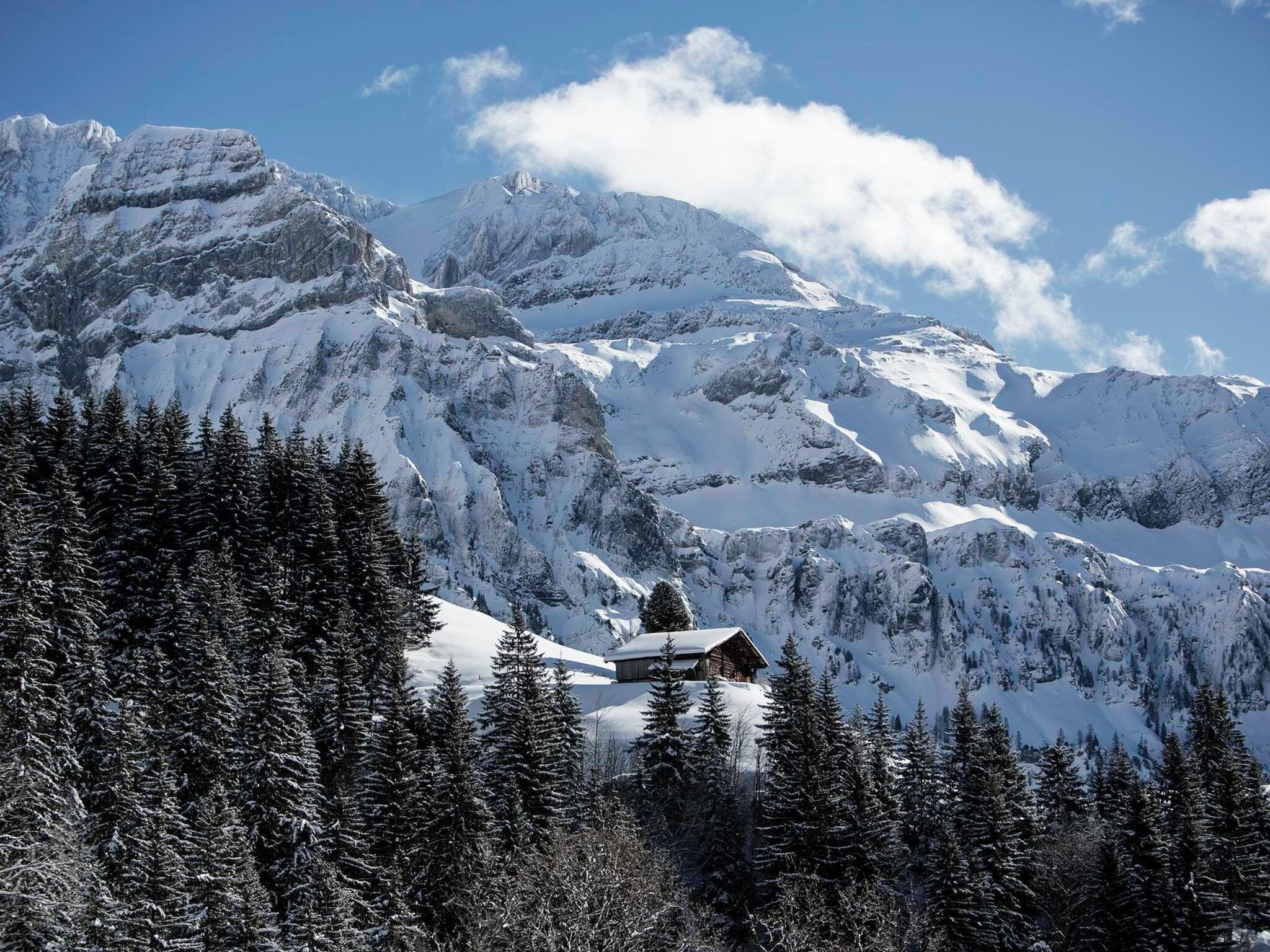 Un paysage montagneux enneigé, avec une cabane nichée au milieu des arbres.