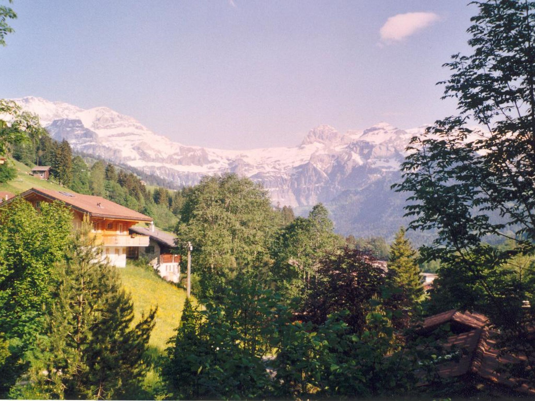 A mountain landscape with a house and trees.