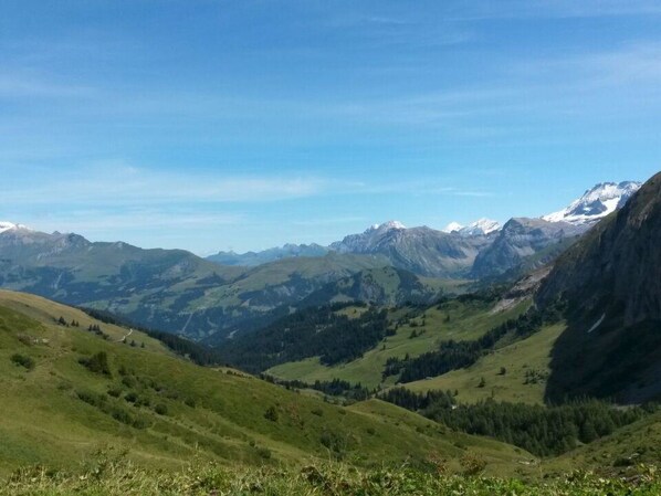 A mountainous landscape with a valley and distant snow-capped peaks under a clear sky. - Meieli Appartement/Fewo, Dusche oder Bad, WC, 1 Schlafraum 2-Bett-Wohnung by Interhome (Lenk)