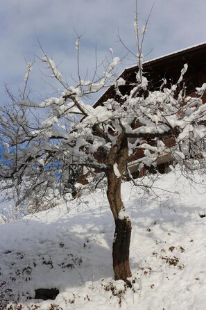 A snow-covered tree with a brick building in the background. - am Lee Appartement/Fewo, Dusche und Bad, WC, 2 Schlafräume 6-Bettwohnung by Interhome (Lenk)