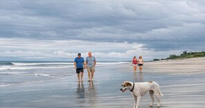 Une plage où l’on voit des gens se promener et un chien.