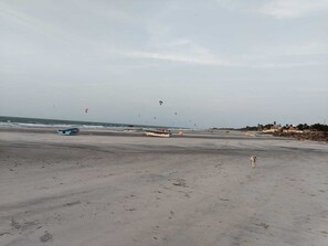Uma praia com barcos, um cão e pipas ao longe.