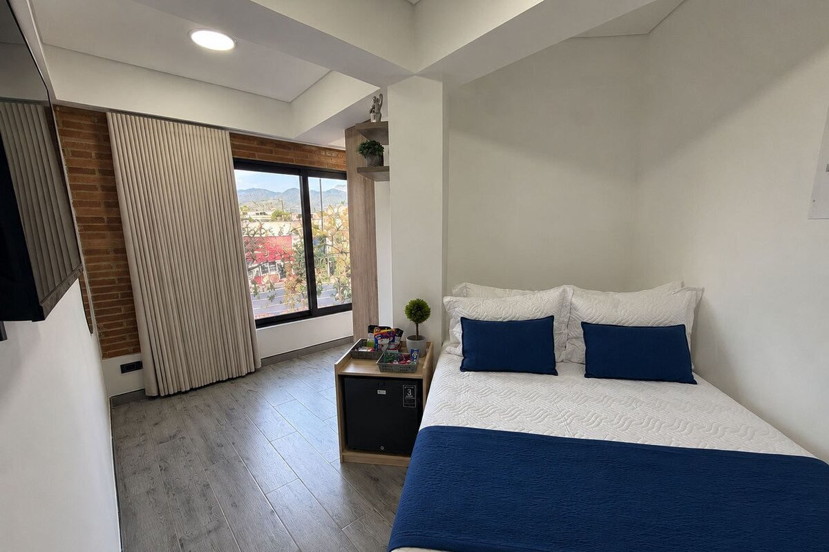 Standard Double Room, City View | Premium bedding, down comforters, minibar, desk