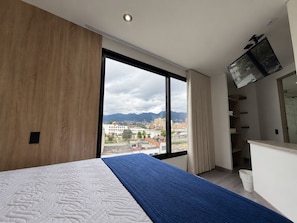 Superior Double Room, City View | View from room - Hotel Embajada 47 (Bogota)