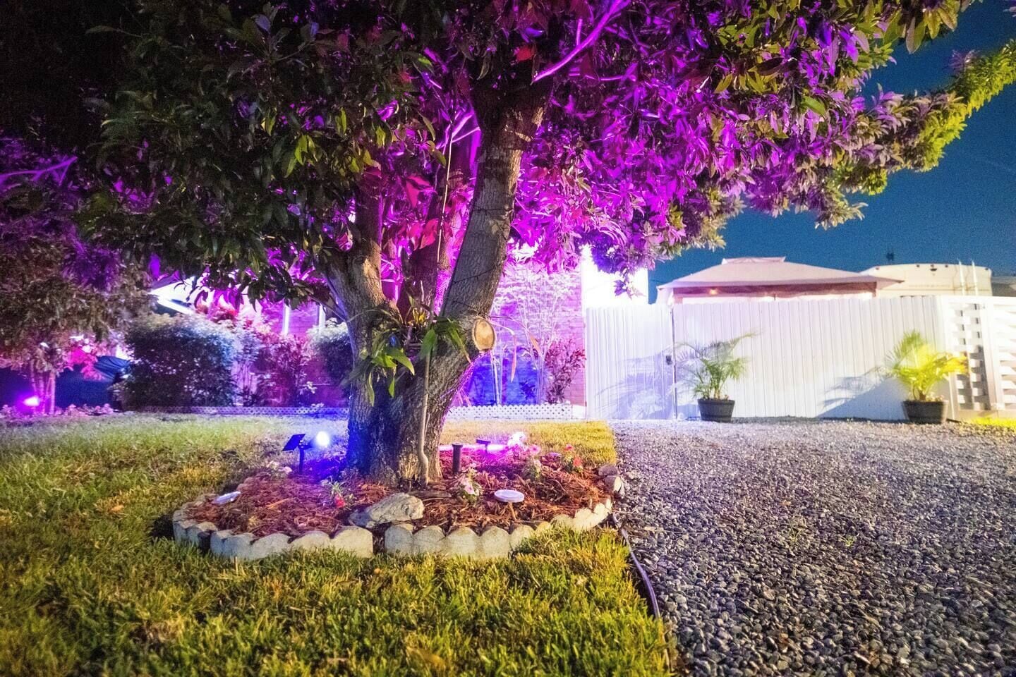 A tree with purple lighting in a landscaped area with a building in the background.