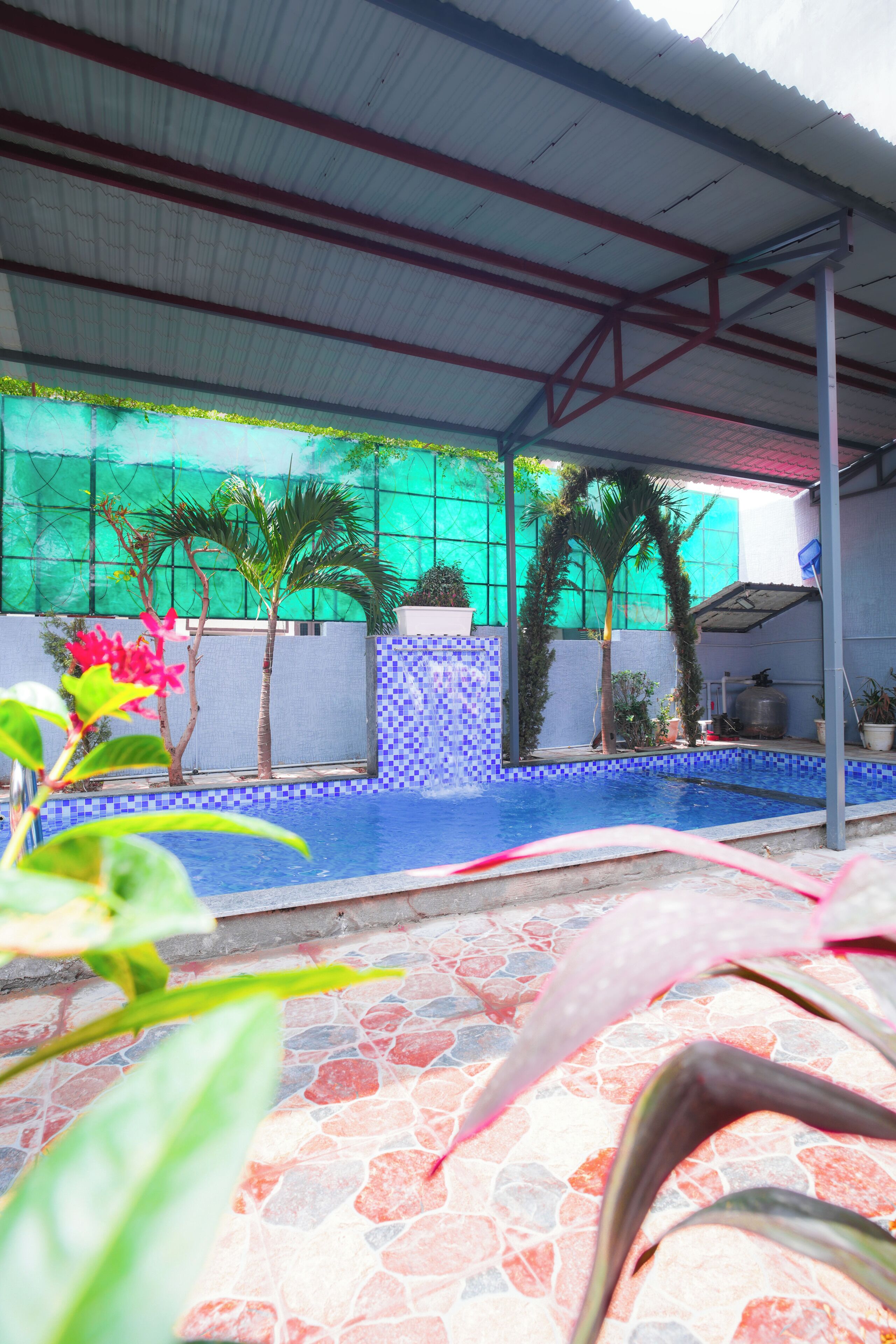 En swimmingpool med flisekant, omgivet af plantekasser og en grøn væg.