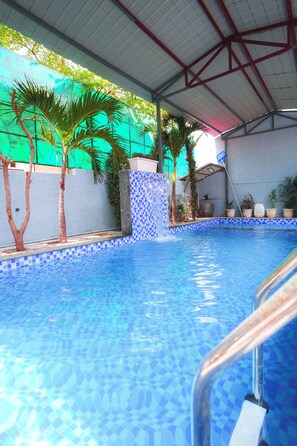 An indoor swimming pool with a tiled edge, surrounded by palm trees and a green wall.