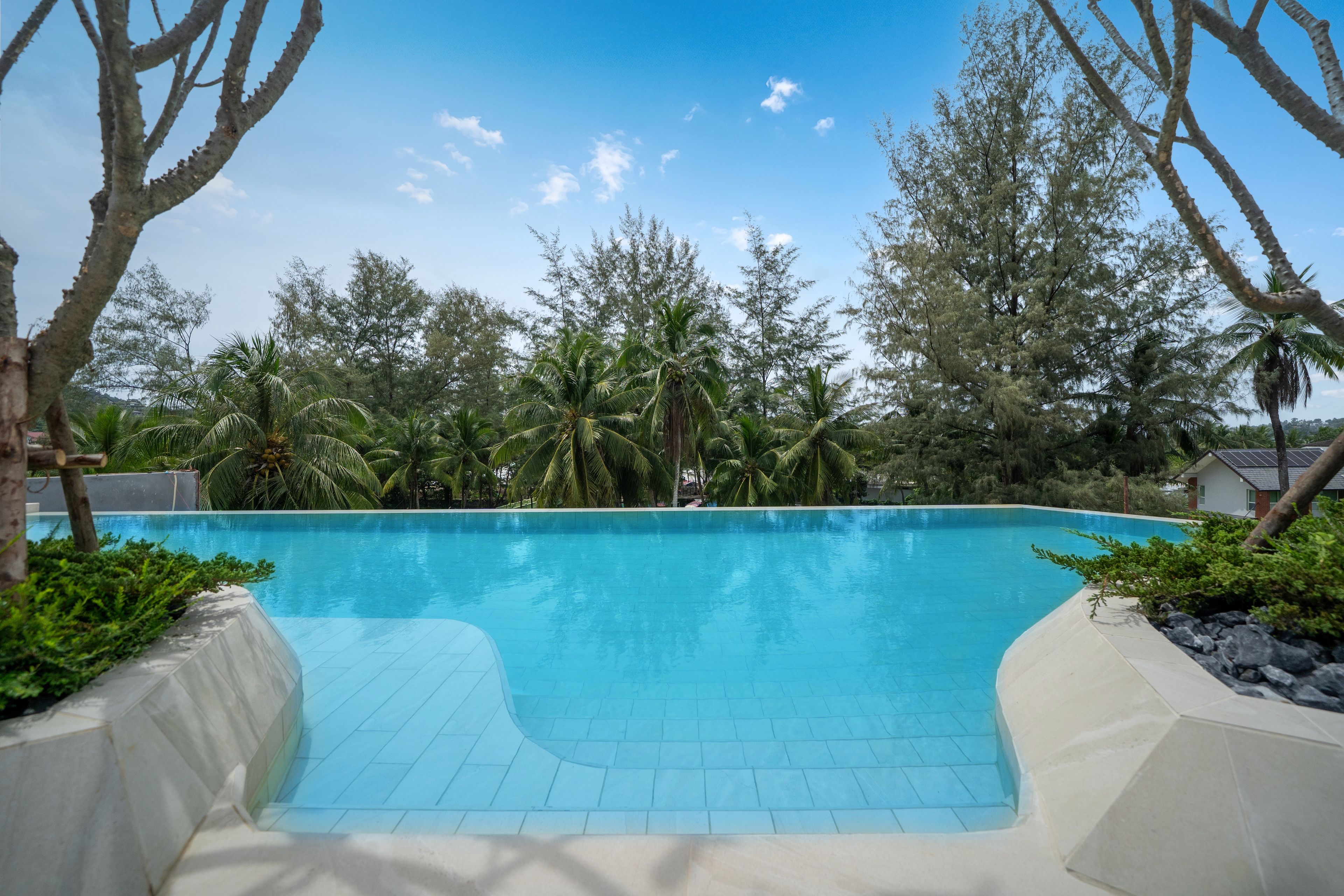 A clear blue swimming pool surrounded by tropical vegetation and trees.