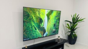 Een flatscreen televisie bevestigd aan een zwarte entertainmentkast, met een potplant ernaast.
