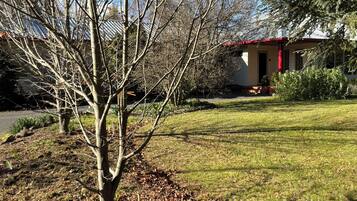 A residential property with a lawn, a leafless tree, and a house with a red roof.